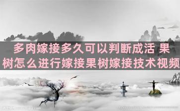 多肉嫁接多久可以判断成活 果树怎么进行嫁接果树嫁接技术视频